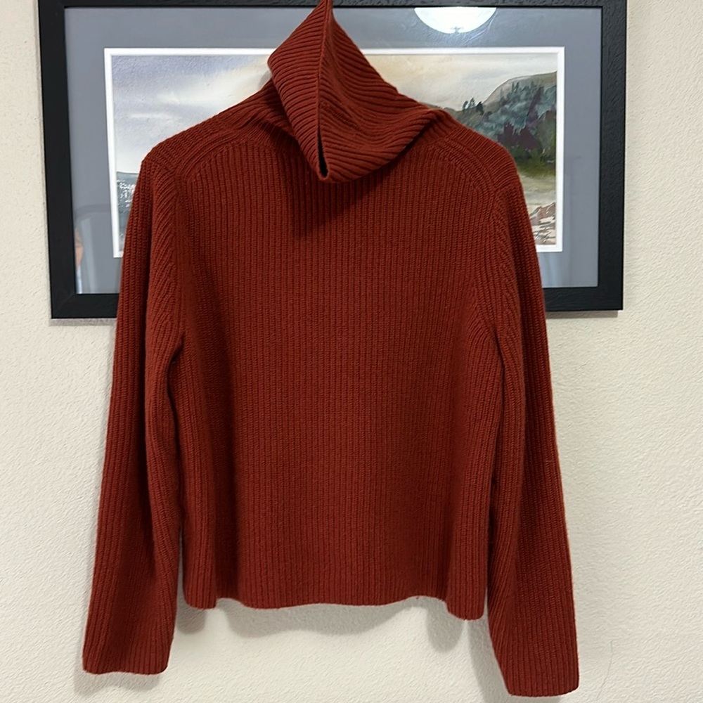Banana Republic Rib 100% Cashmere Chiara Turtleneck Sweater, Large, copper color